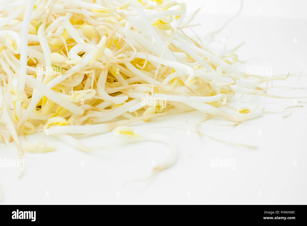 Bean sprouts on a white background Stock Photo