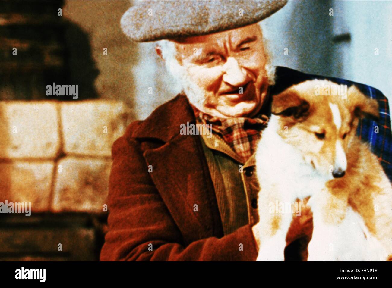 DONALD CRISP CHALLENGE TO LASSIE (1949) Stock Photo