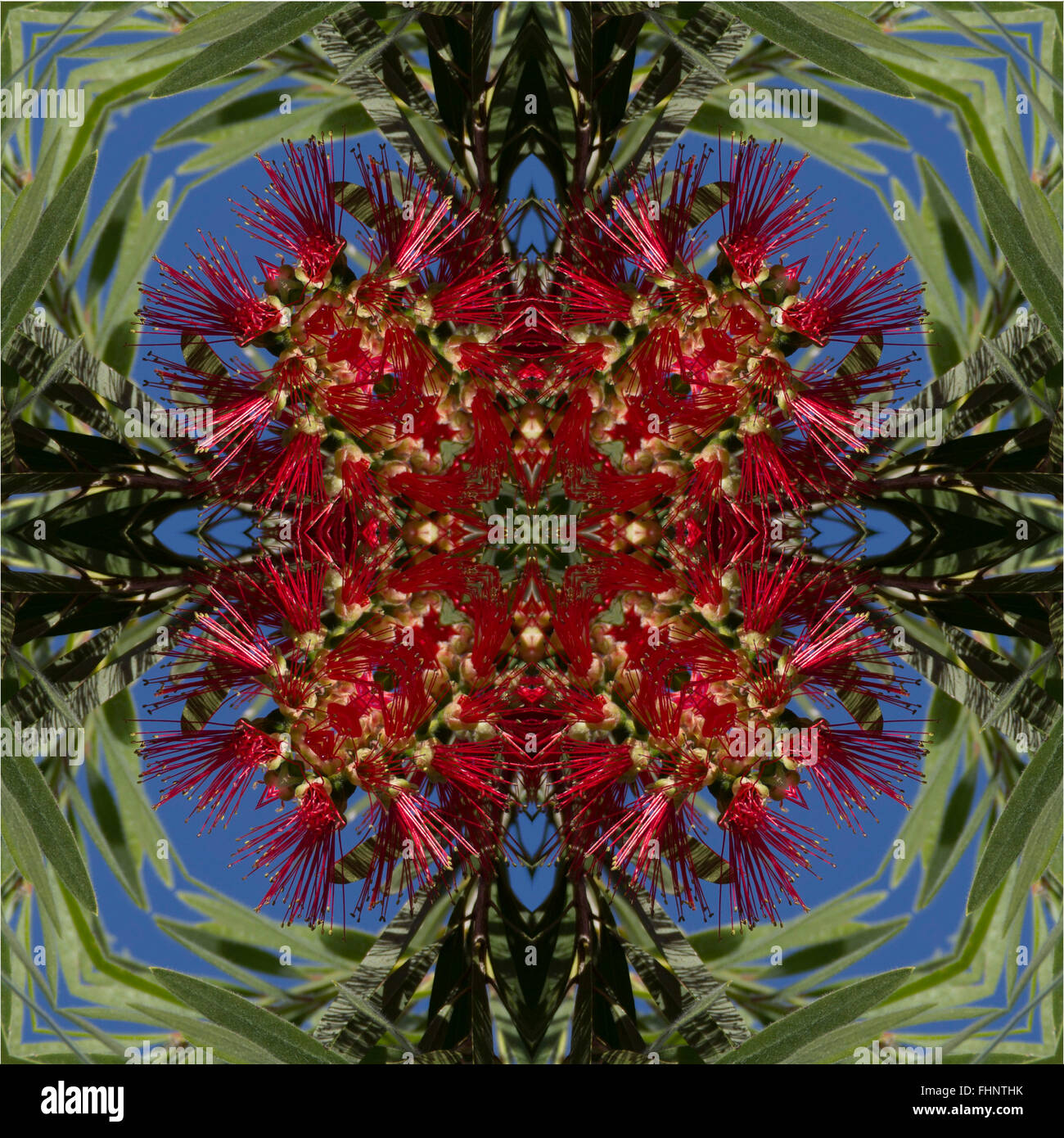kaleidoscope, square, texture, pattern, symmetry, background, abstract ...