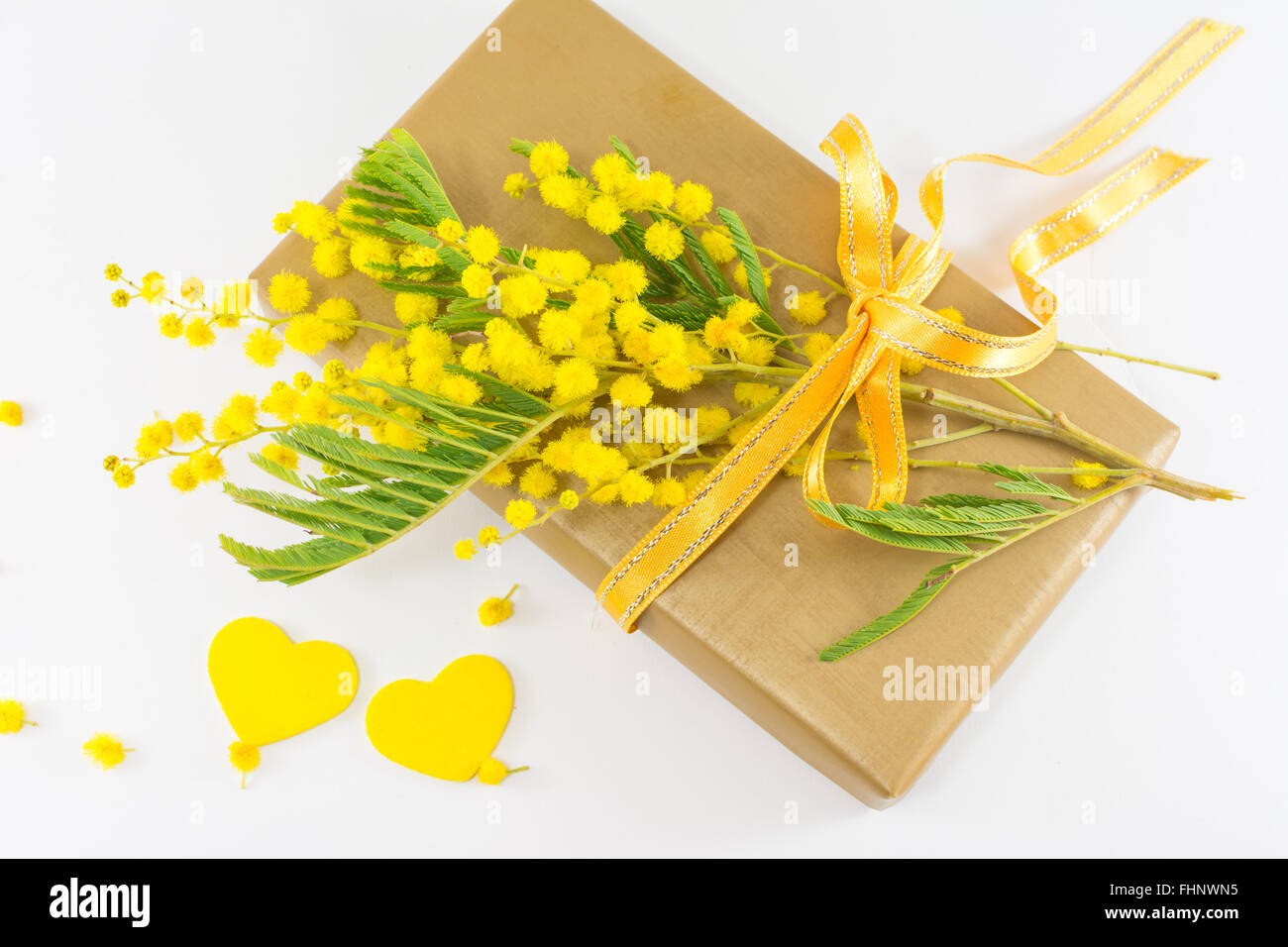 Bouquet of mimosa pudica and a wrapped present Stock Photo