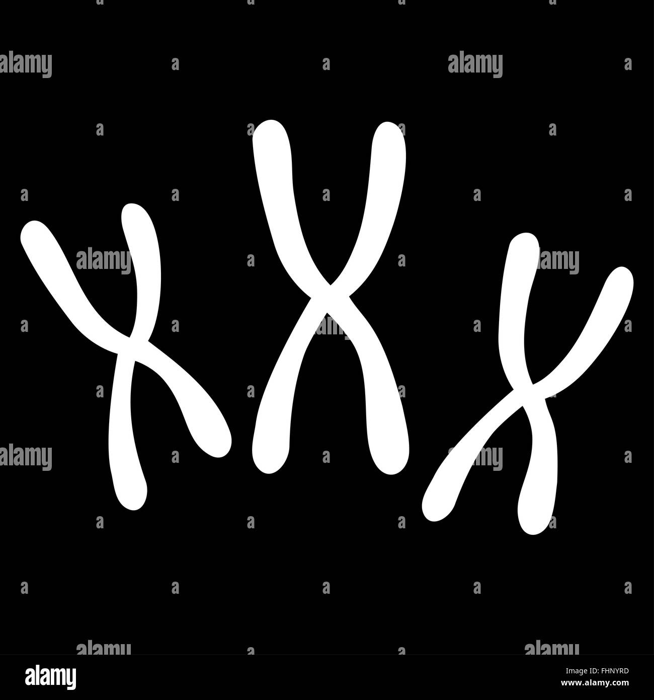 Chromosomes Flat Icon Stock Photo - Alamy