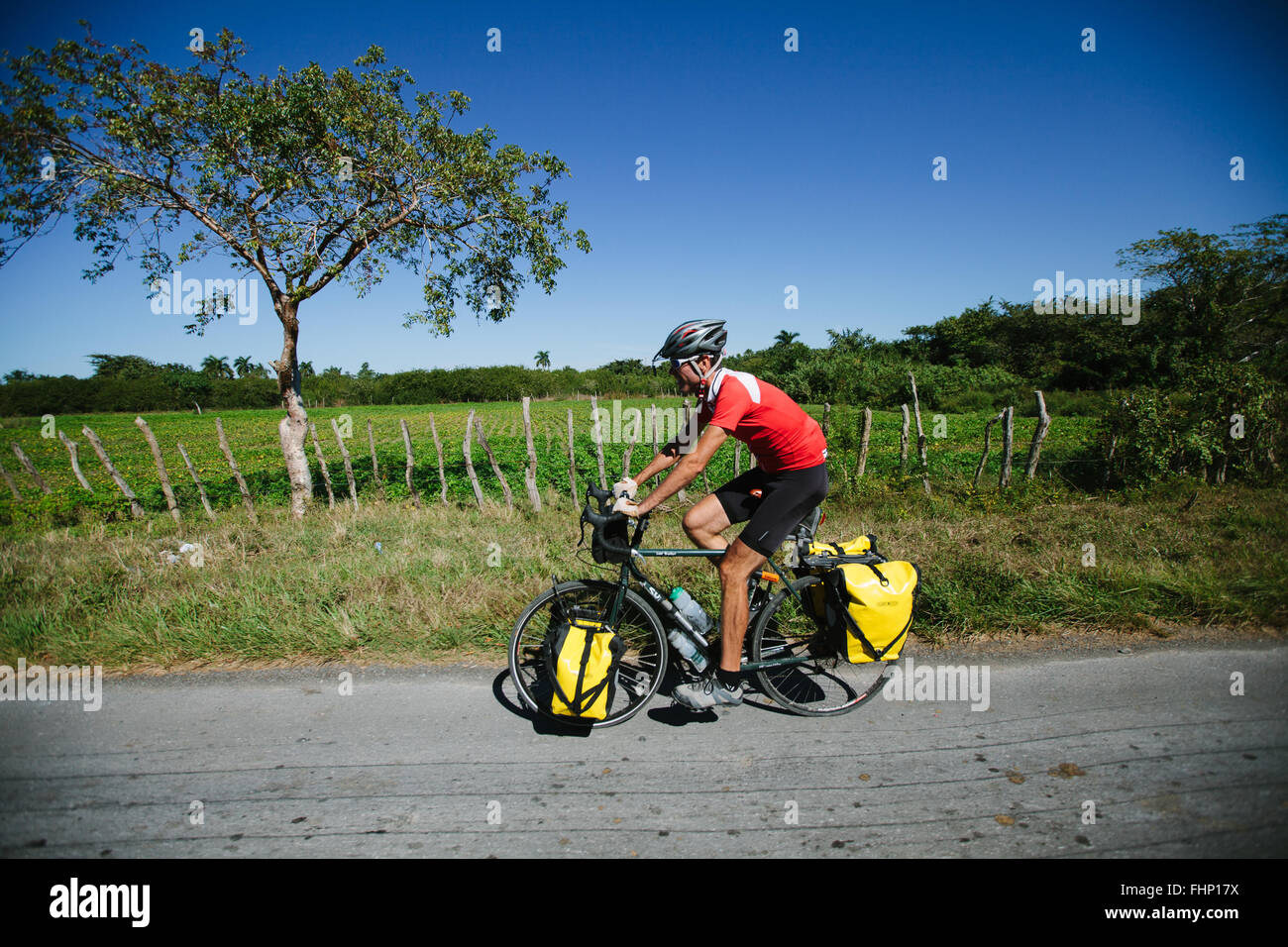 Yellow panniers 2024