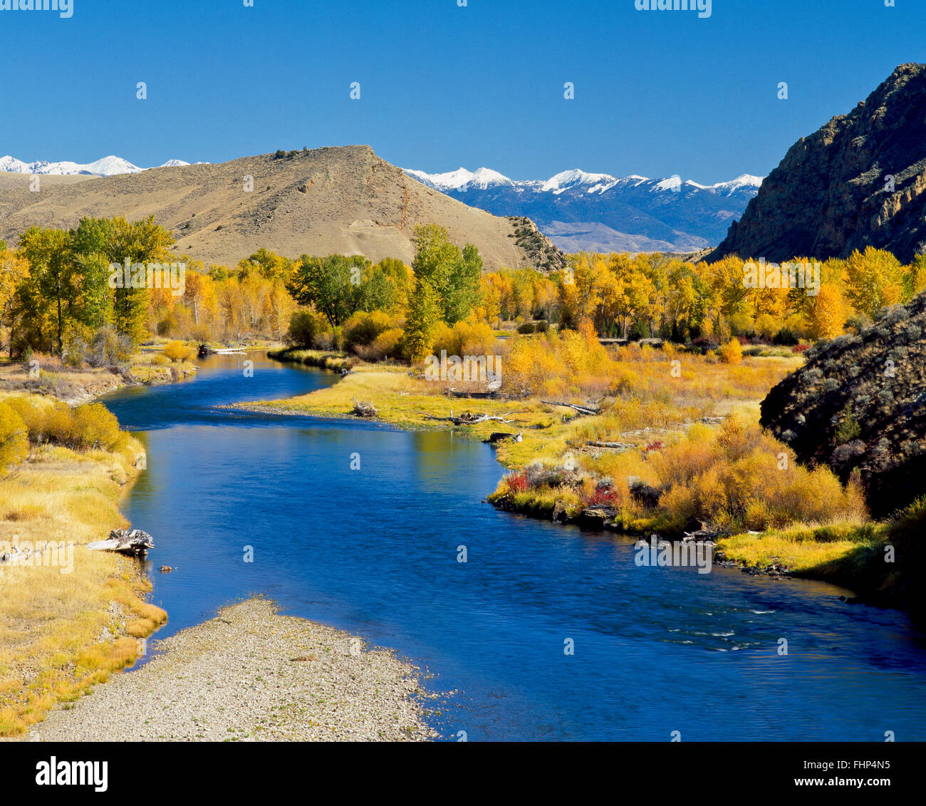 fall colors along the big hole river and tobacco root mountains near