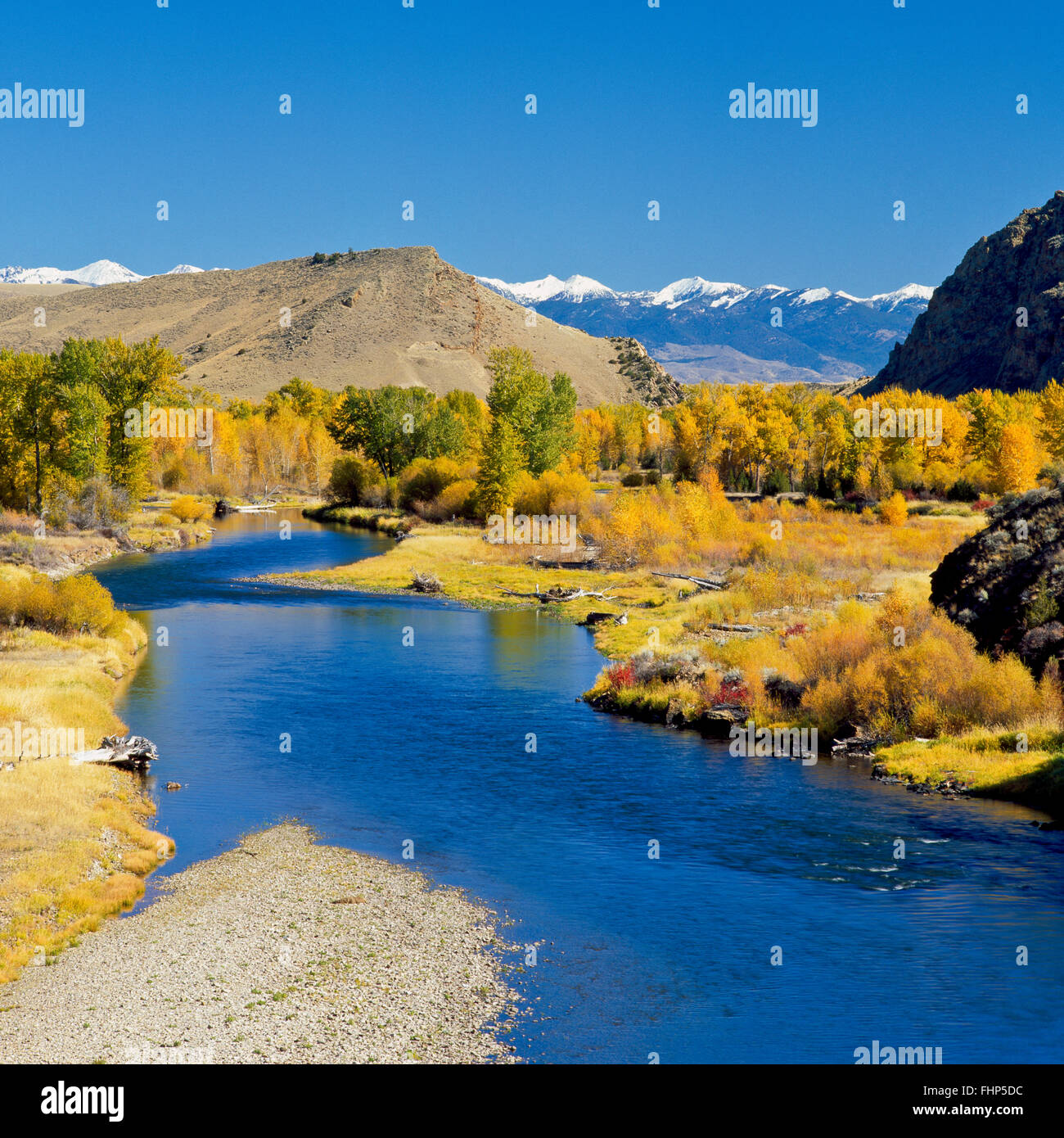 tobacco river montana fall colors along the big hole river and tobacco root mountains near glen,  montana Stock Photo
