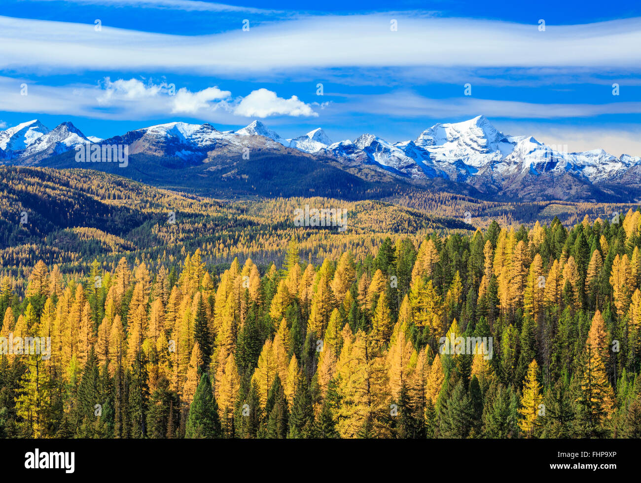 fall colors in foothills of the seeley-swan valley below the mission mountains near condon, montana Stock Photo