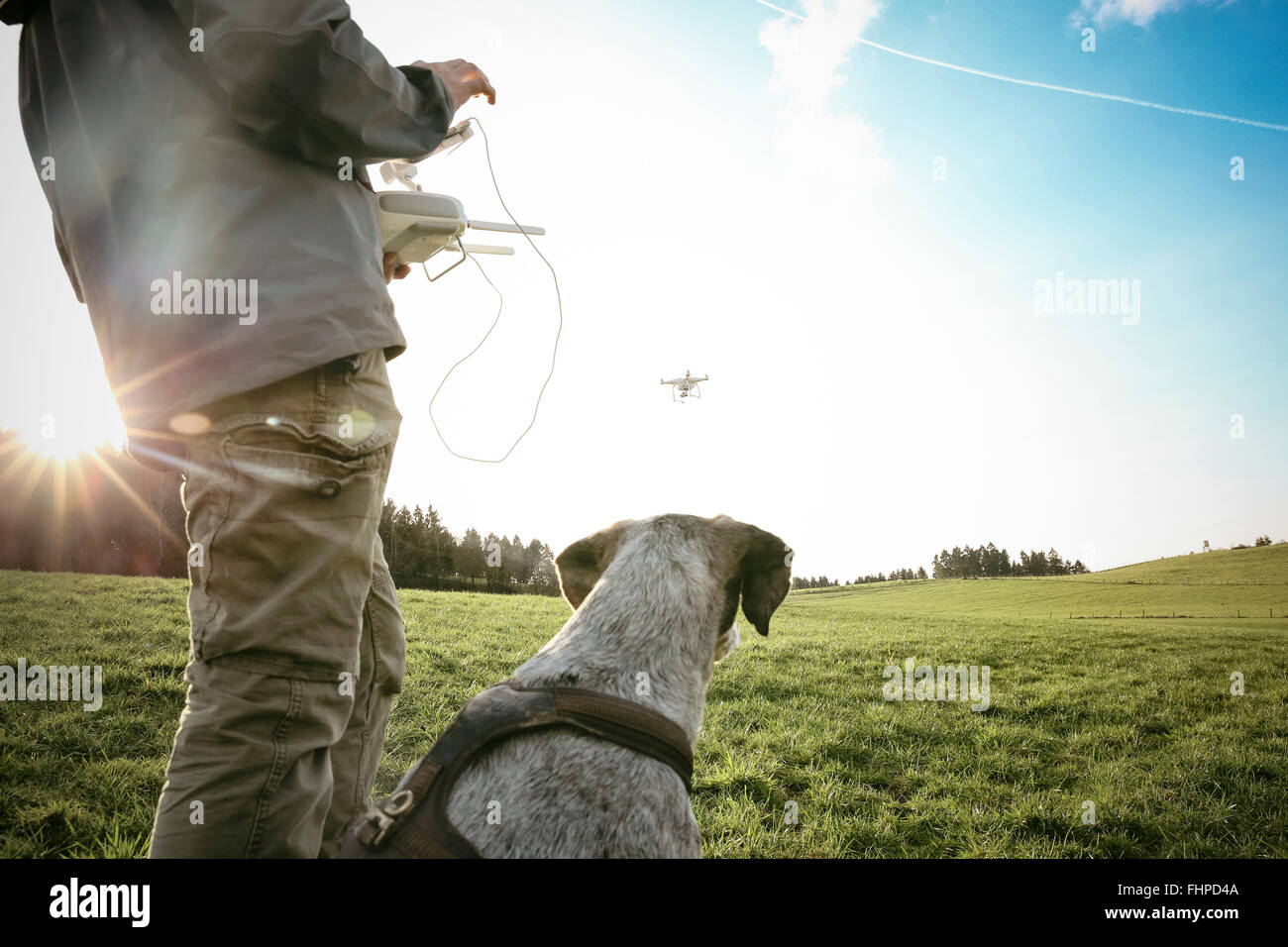 Man on a meadow flying drone while his dog watching Stock Photo
