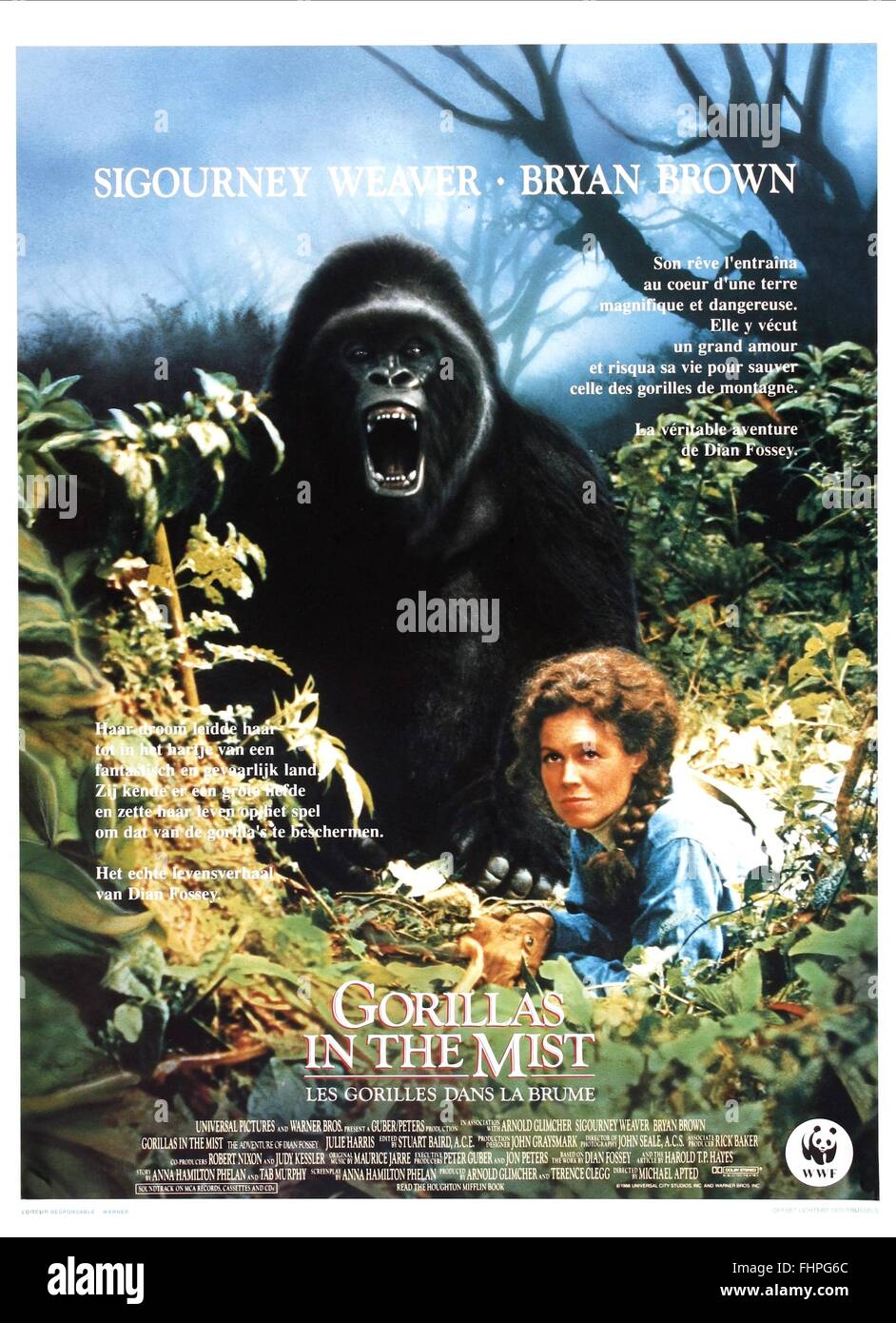 Gorillas In The Mist 1988 High Resolution Stock Photography and Images ...