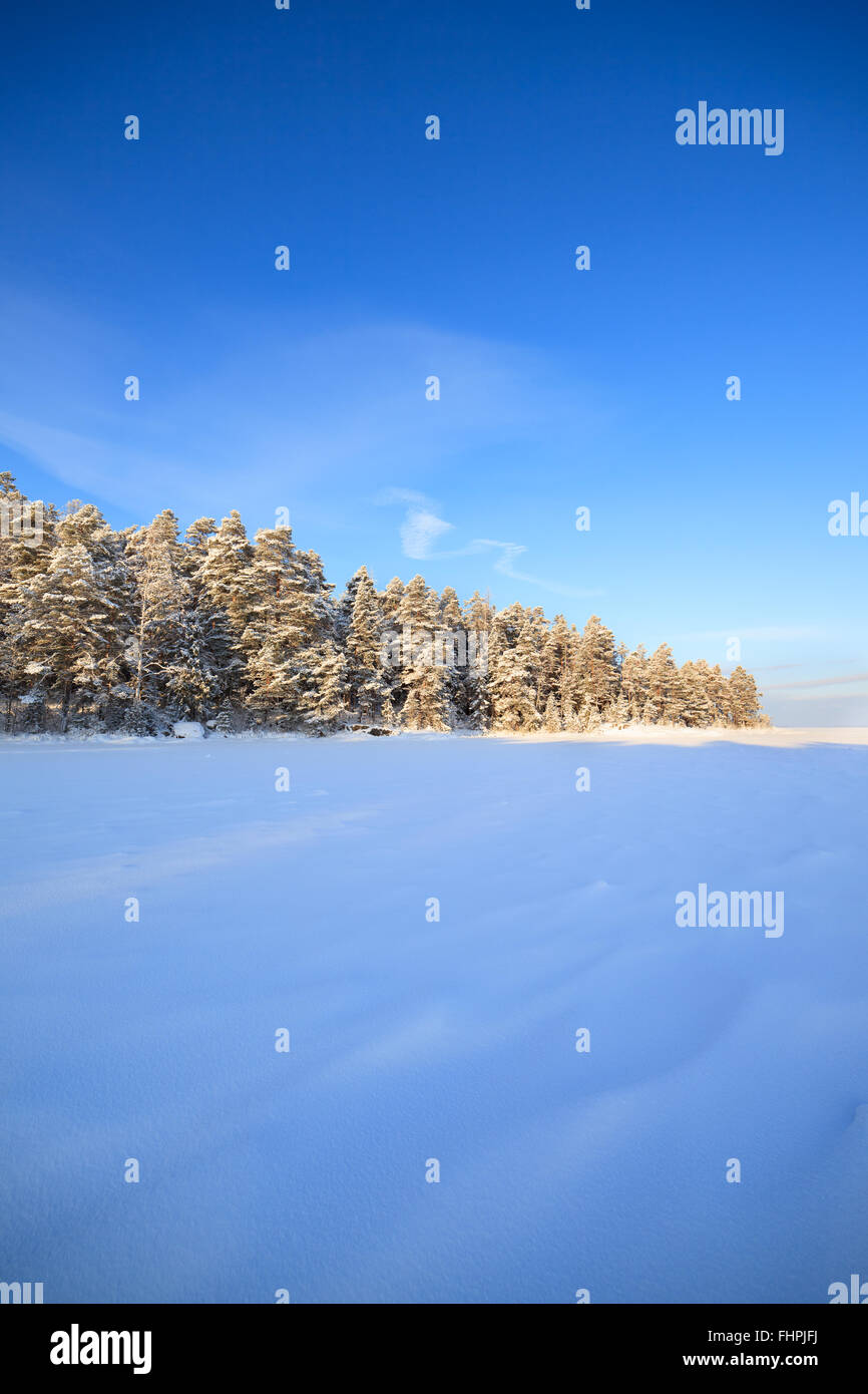 Frozen lake and snow covered forest Stock Photo - Alamy