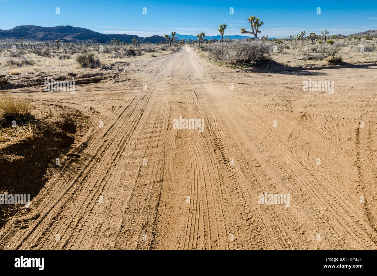 Desert cross roads with car tracks and Joshua trees in backgrounds Stock Photo