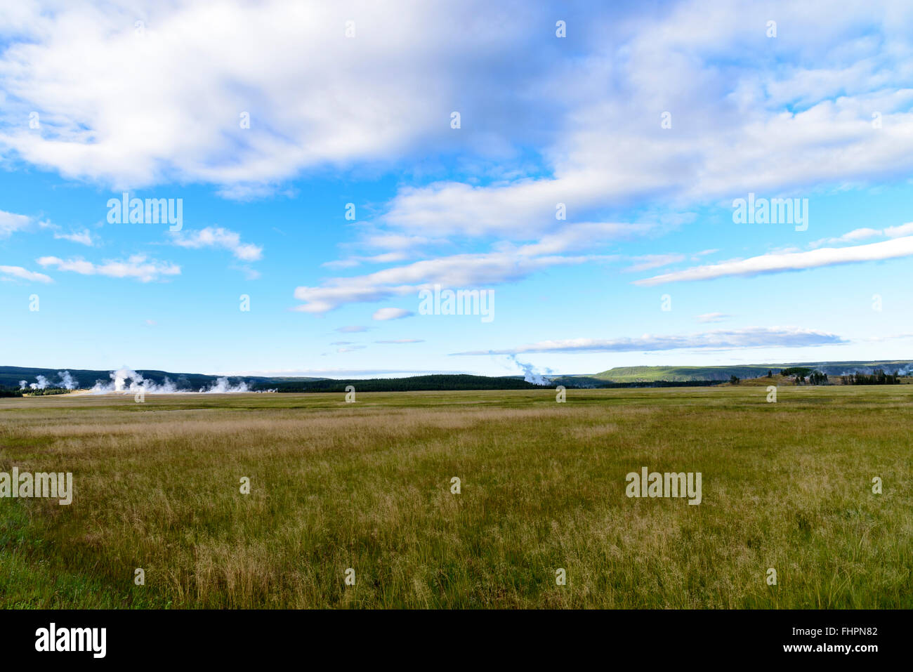 Wide open green grassy field under blue sky with white fluffy clouds with geysers in background. Stock Photo