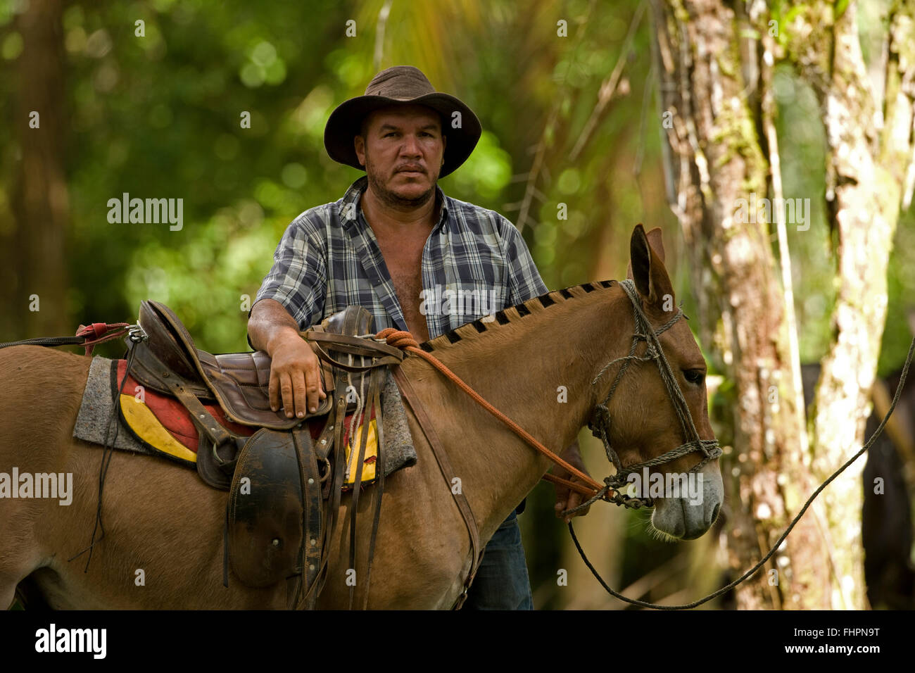 Rancher, Costa Rica Stock Photo