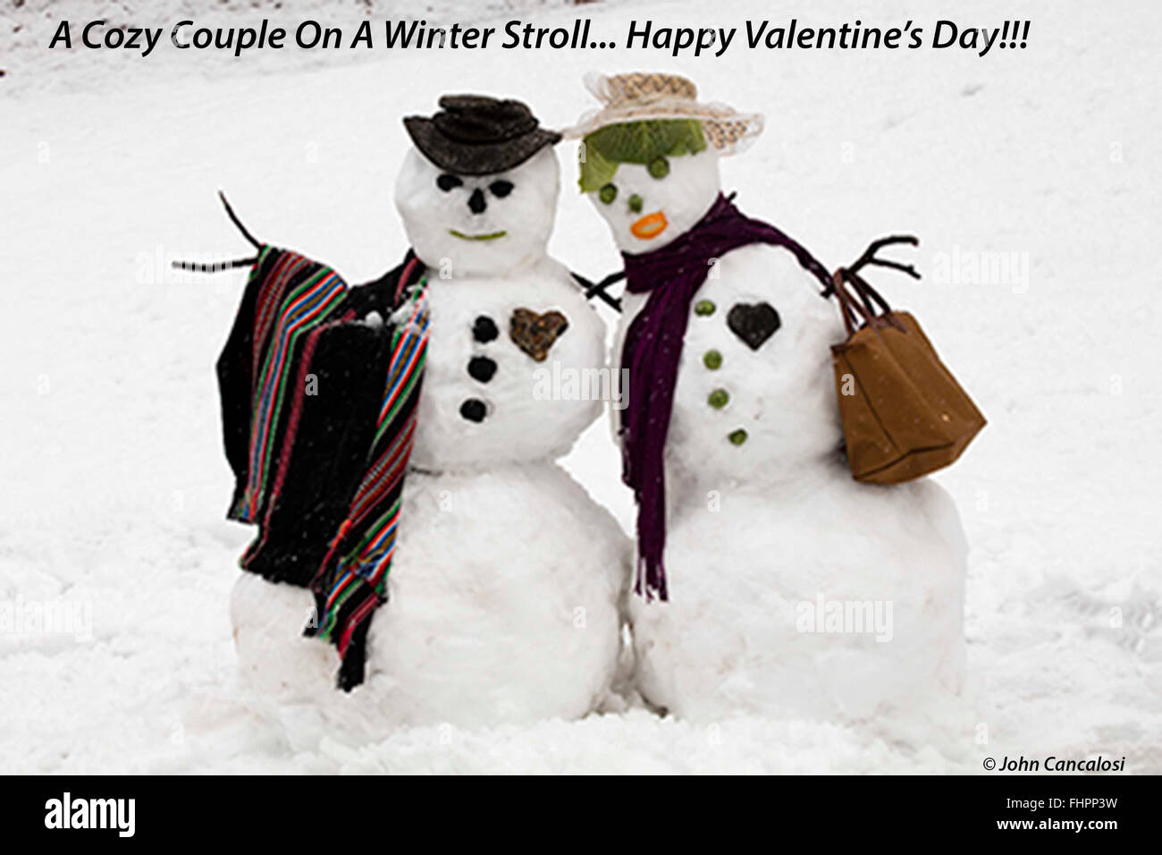 Snow couple, Washington DC area, after winter storm Stock Photo