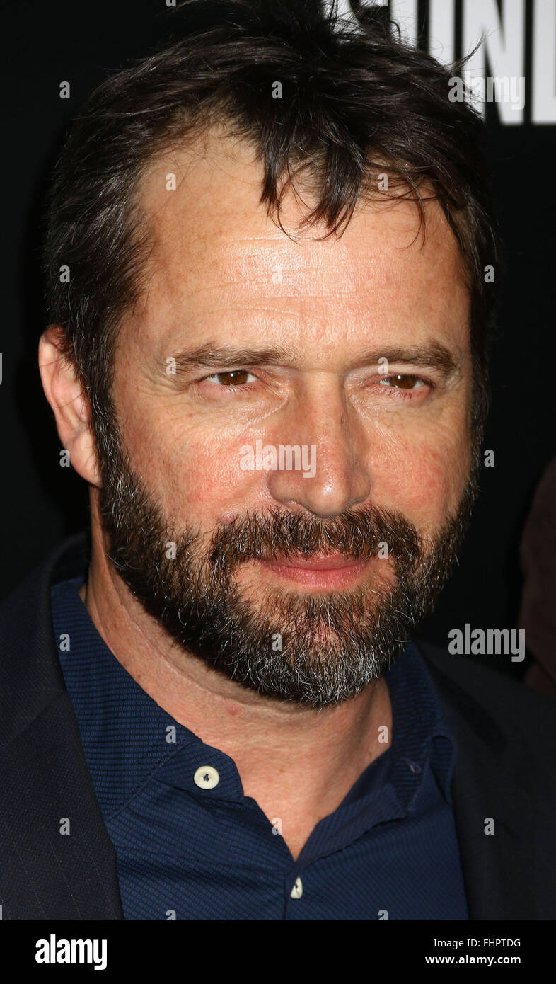 new-york-new-york-usa-25th-feb-2016-actor-james-purefoy-attends