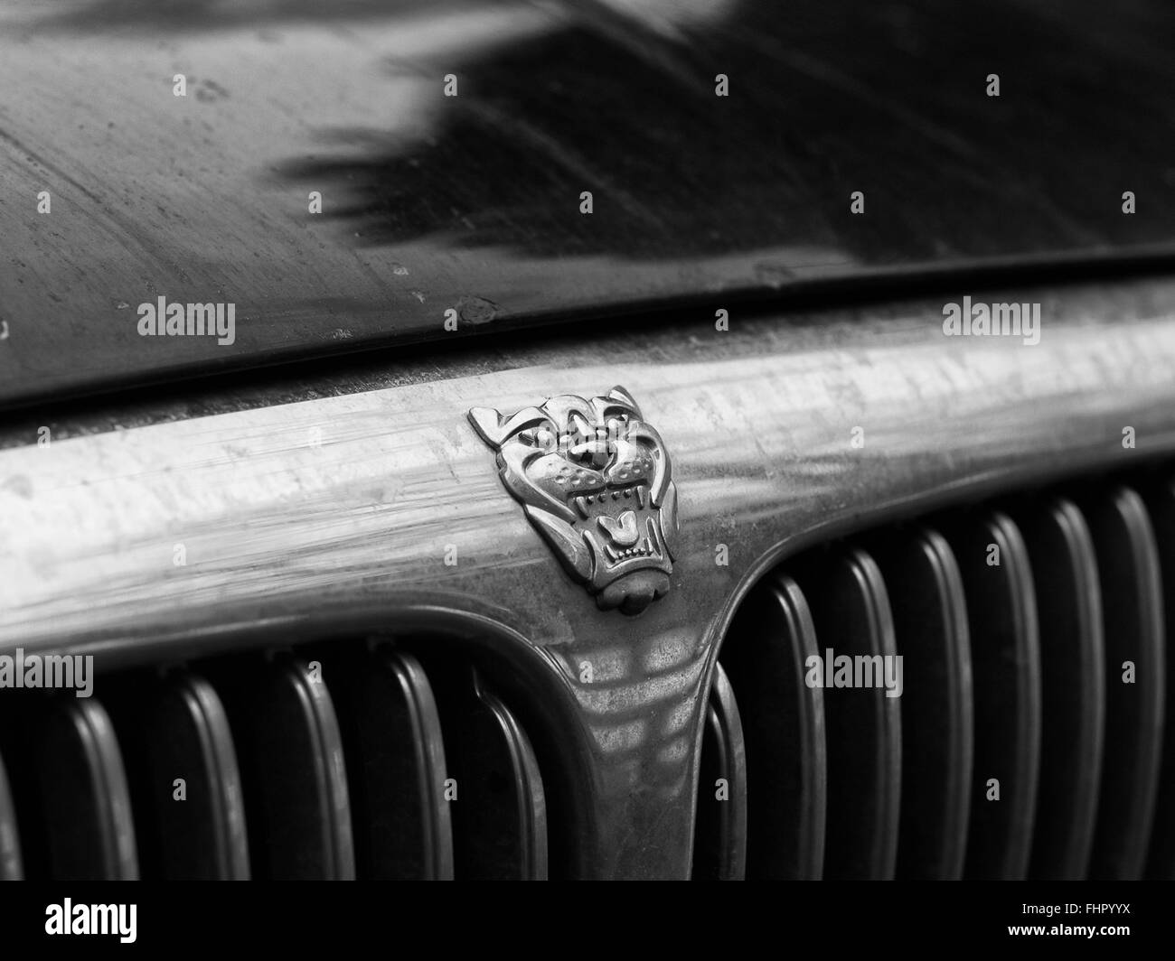 Jaguar X-Type grille detail Stock Photo