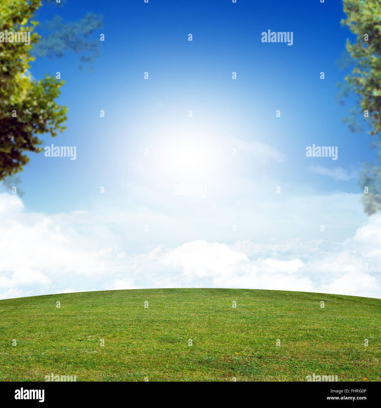 Blue sky with green grass Stock Photo - Alamy