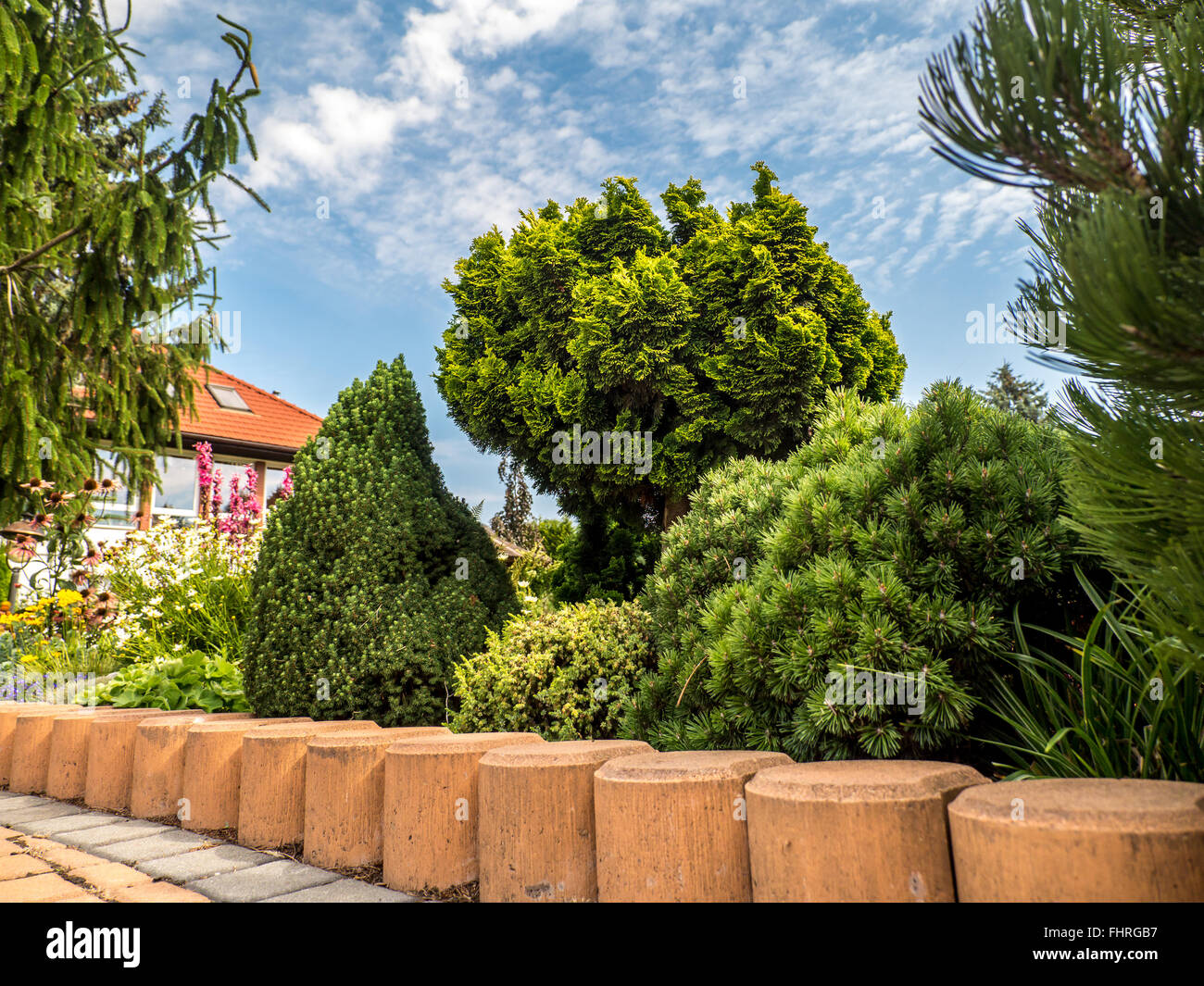 House garden with various coniferous plants Stock Photo
