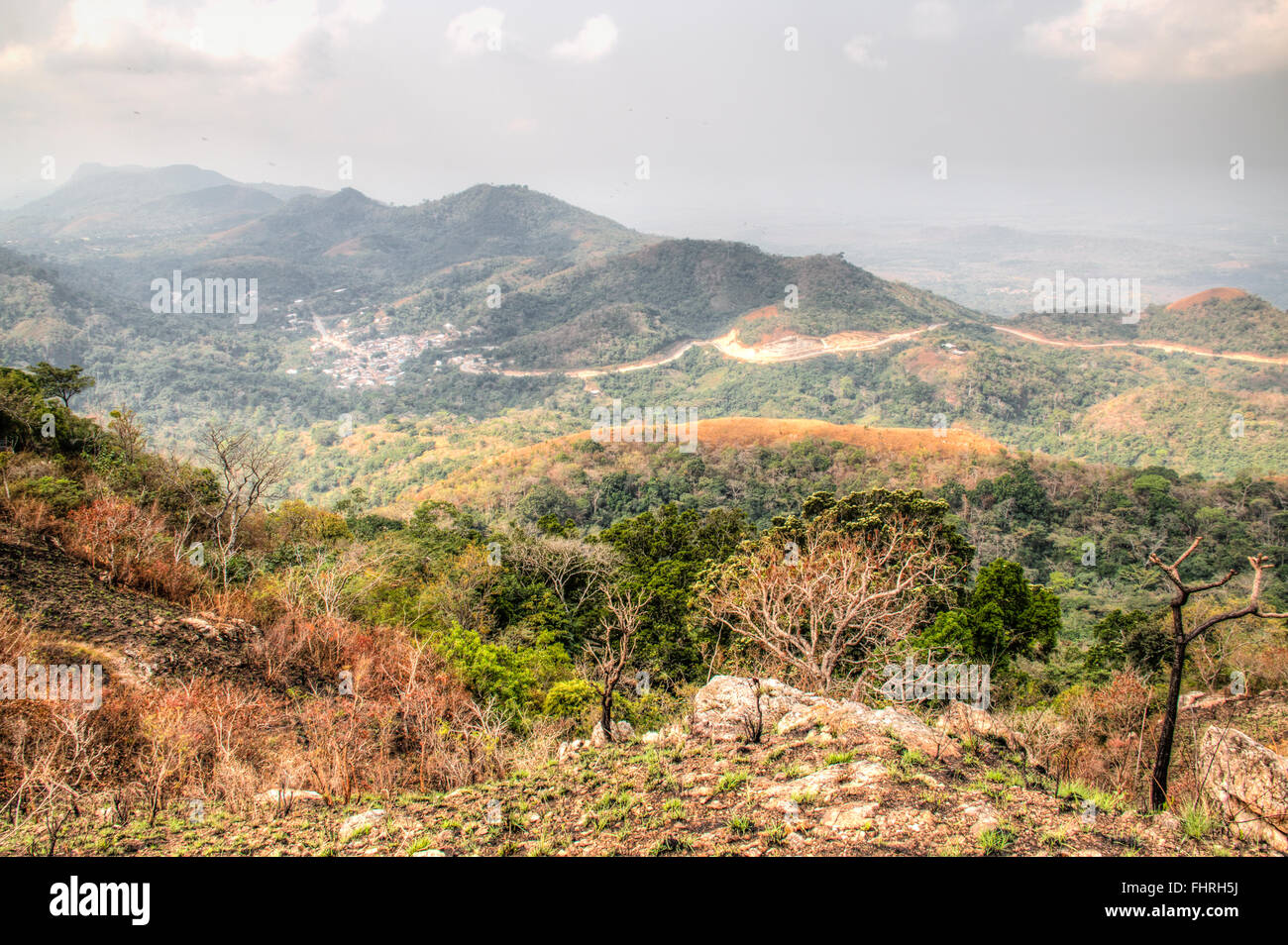 Ghana forest timber hi-res stock photography and images - Alamy