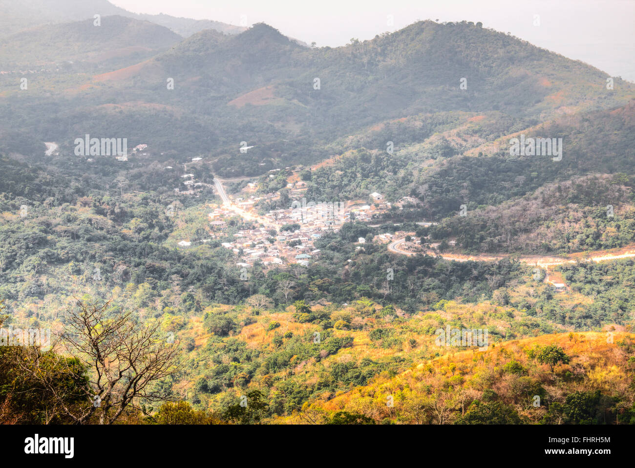 Ghana forest timber hi-res stock photography and images - Alamy