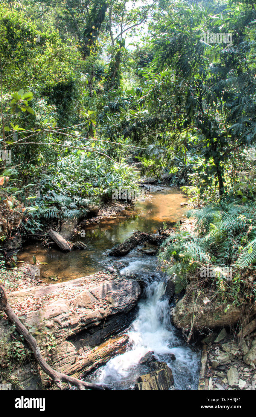River on the way to the Wli waterfall in the Volta Region in Ghana Stock Photo
