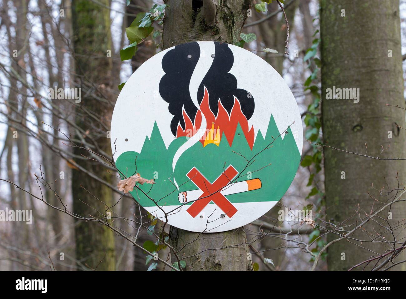 No smoking in the forest, fire danger warning sign on a tree, Hesse, Germany Stock Photo
