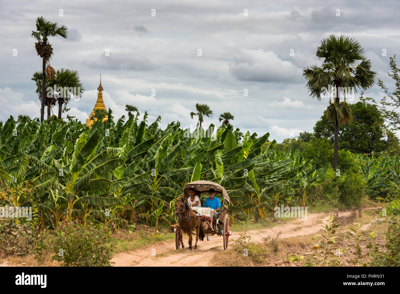 Horse-drawn carriage with tourists on a road in front of banana trees, behind ancient city Inwa or Ava, Mandalay Division Stock Photo