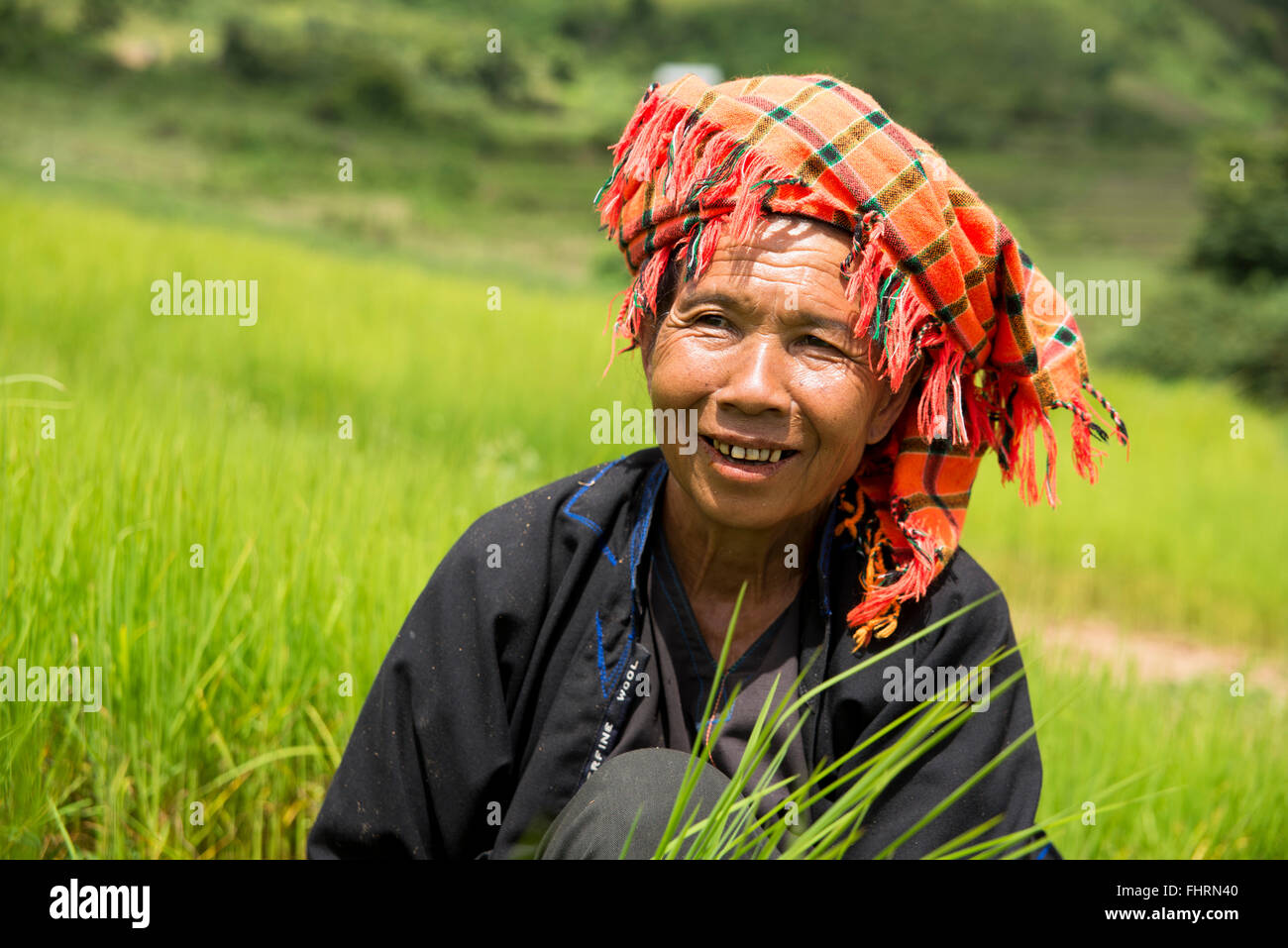 Smiling woman working in the fields, from the Pao hill tribe or mountain people, Shan State, Myanmar Stock Photo