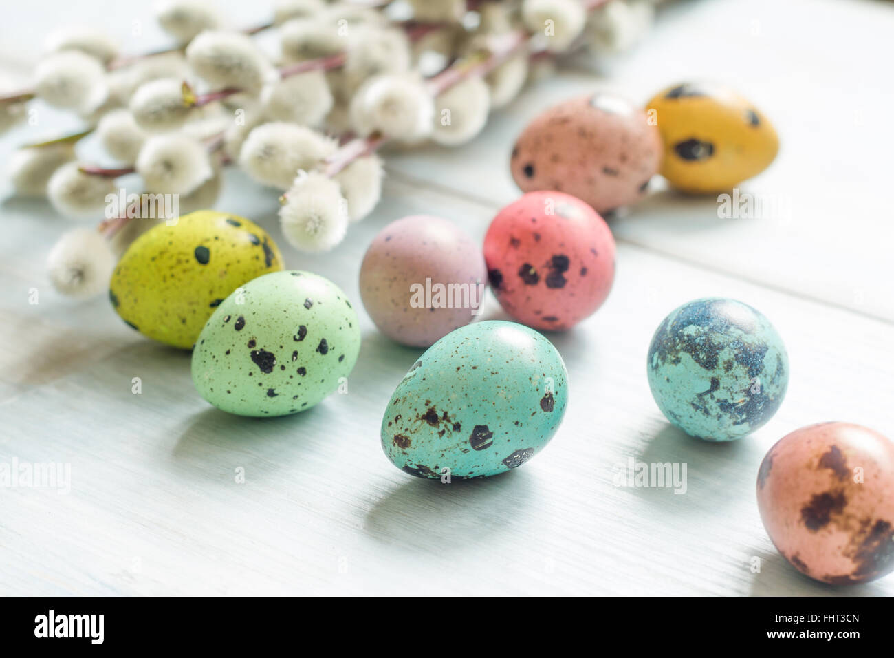 Easter eggs and cherry flowers abstract retro background Stock Photo