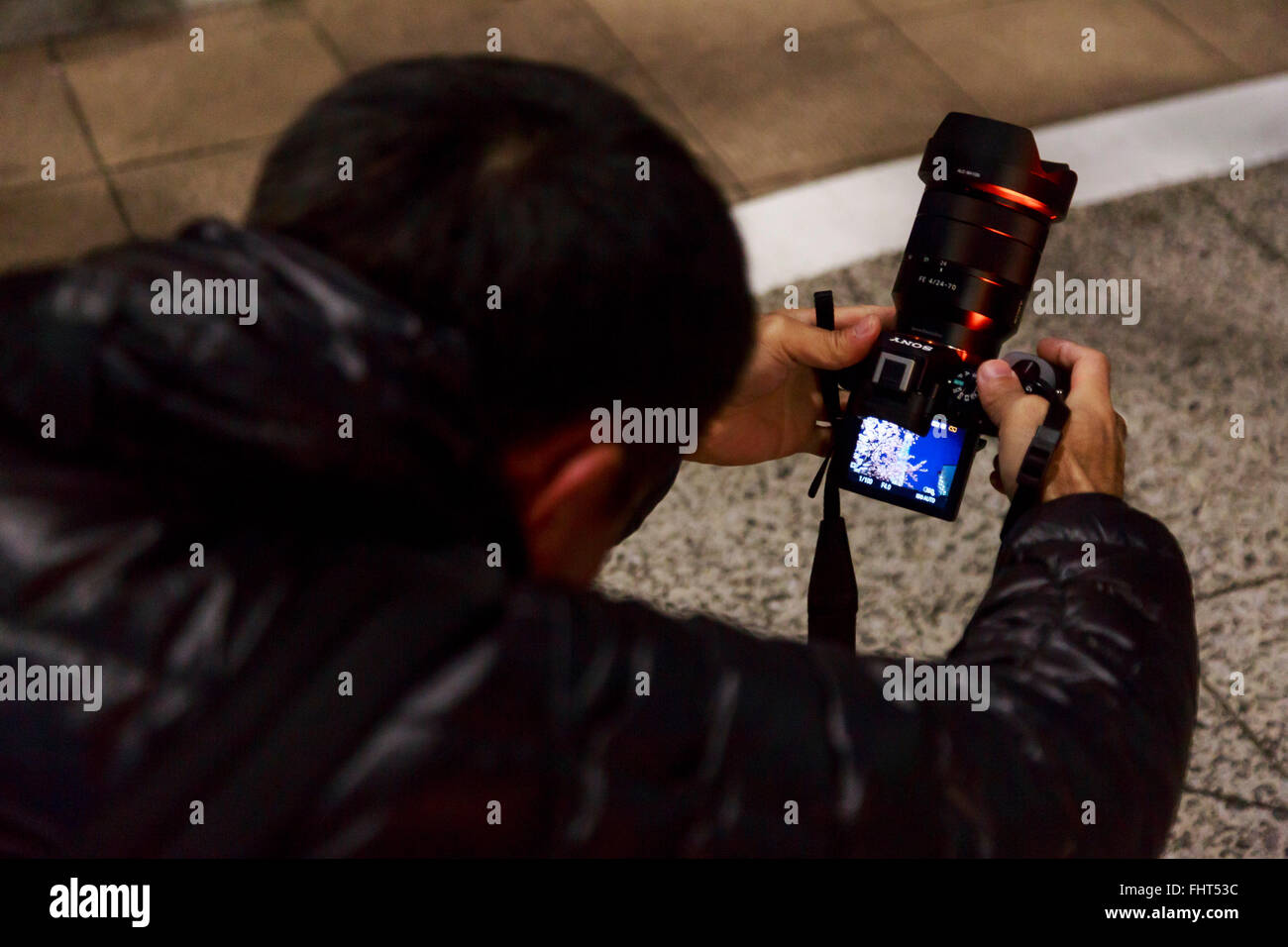 A man takes a picture of the Kawazu-zakura cherry blossoms in bloom ...