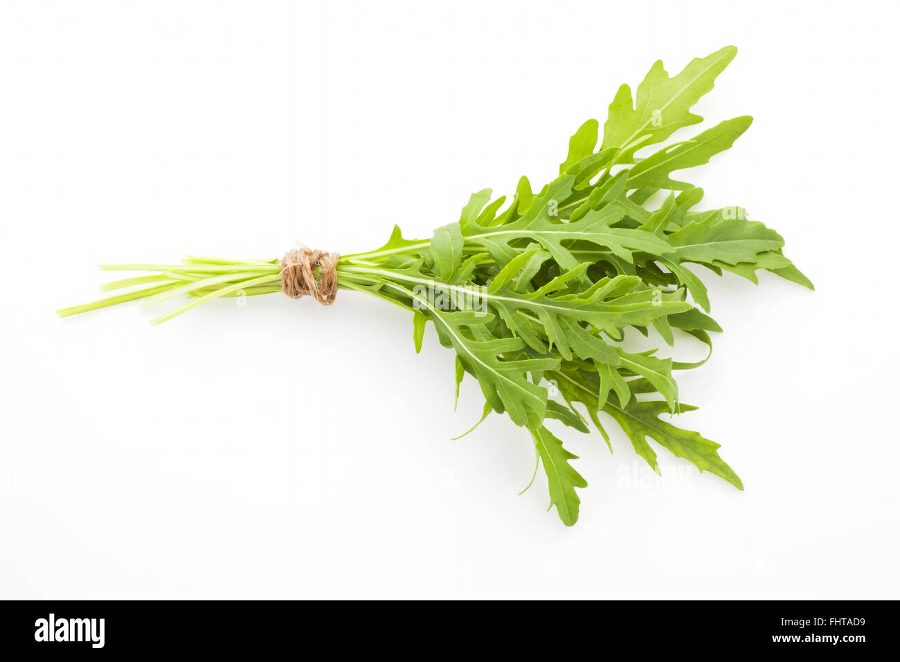 Fresh organic arugula bunch. Stock Photo