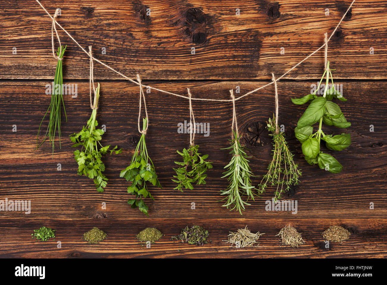 Culinary herbs. Stock Photo