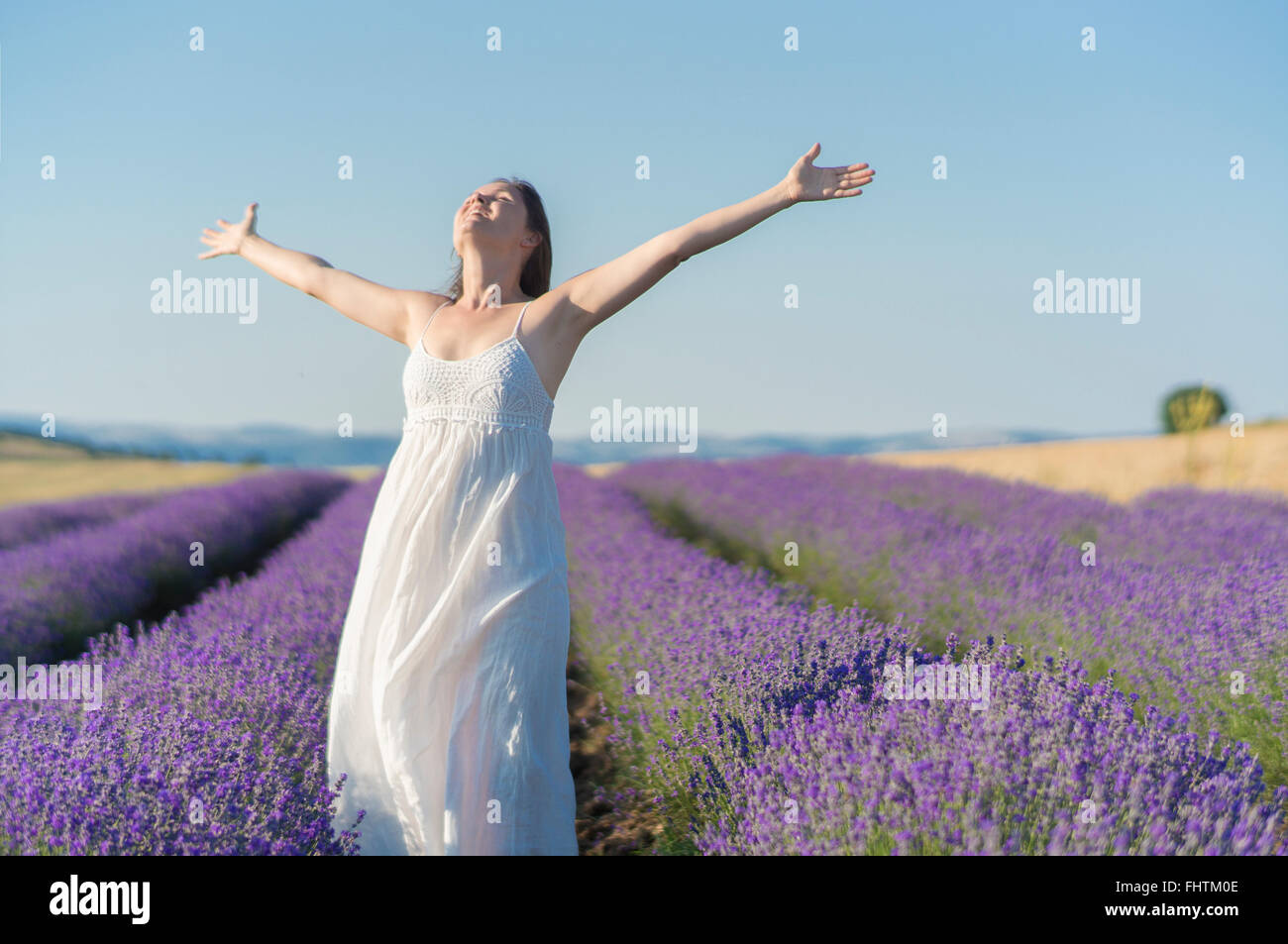 Beautiful young woman wearing a white dress celebrating the beauty of life standing in the middle of a lavender field in bloom. Stock Photo