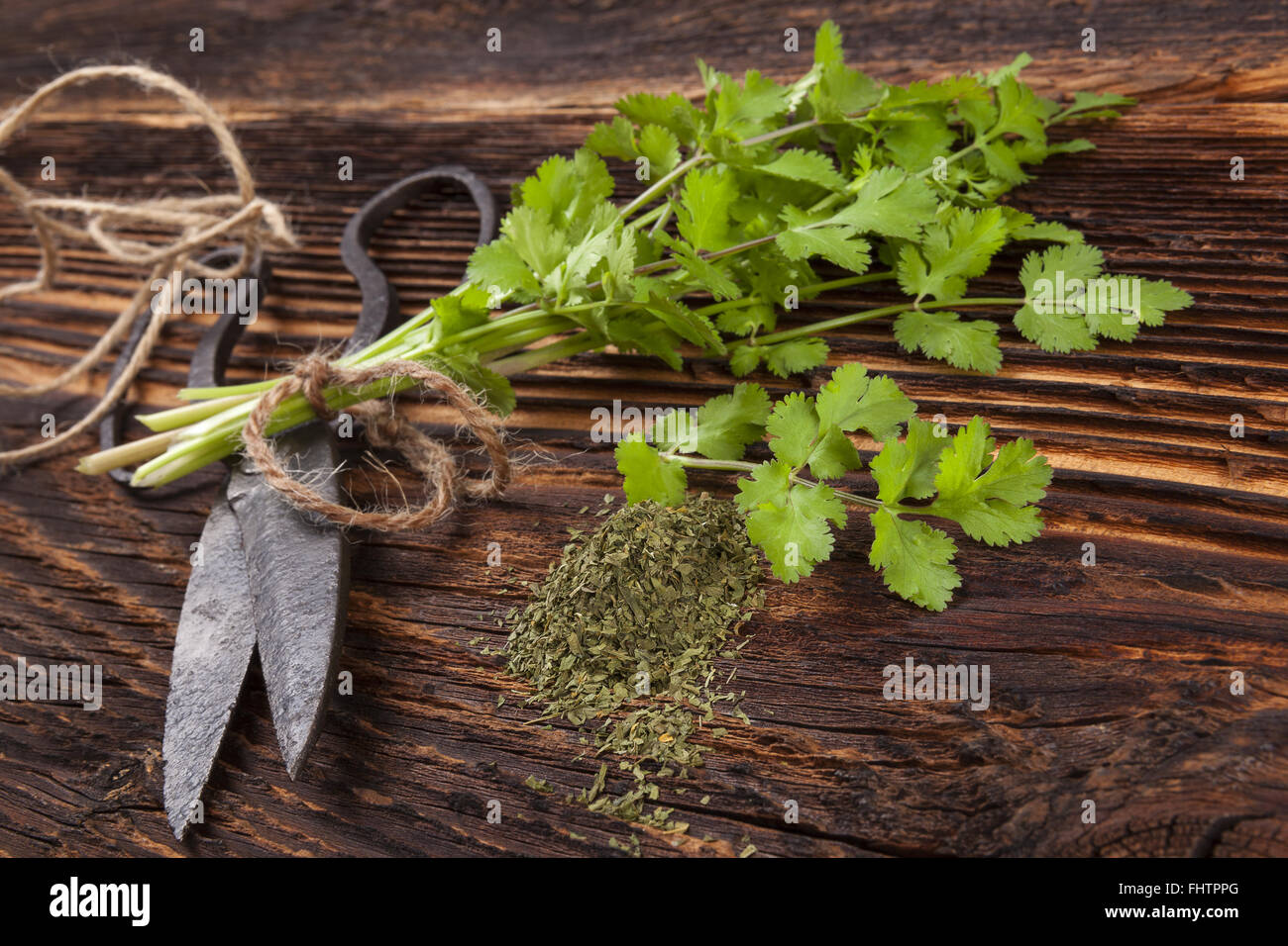Fresh and dry coriander herb Stock Photo Alamy