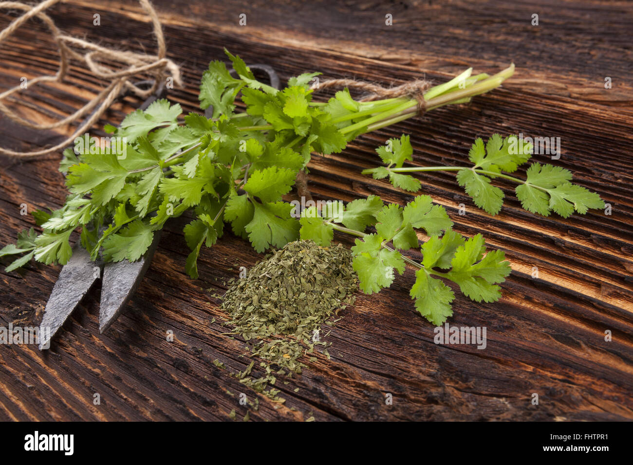 Fresh and dry coriander herb Stock Photo Alamy