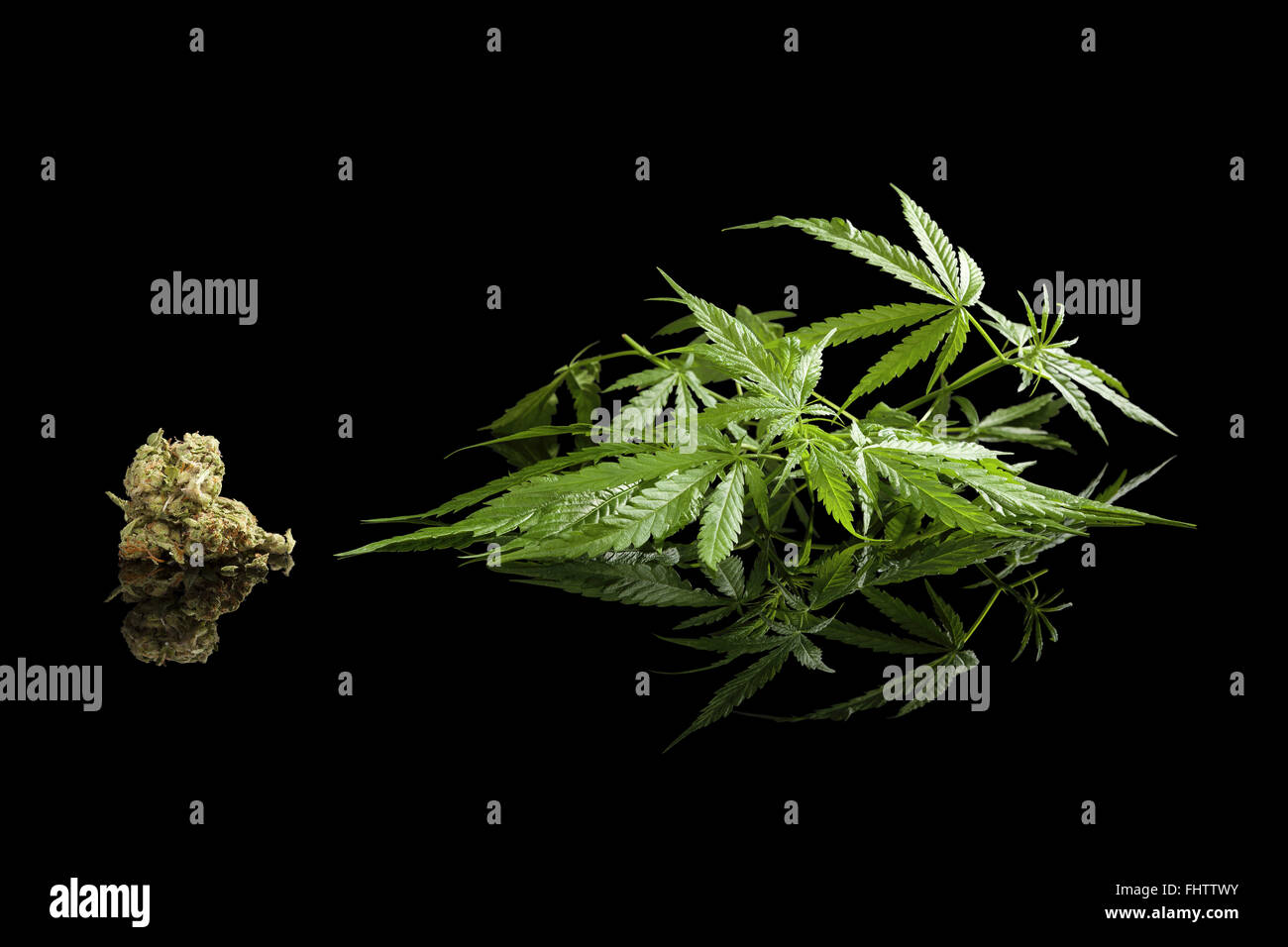Minimal cannabis hi-res stock photography and images - Alamy