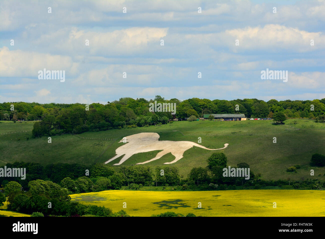 The Lion of Whipsnade on a hillside at Whipsnade Zoo, Bedfordshire, England Stock Photo