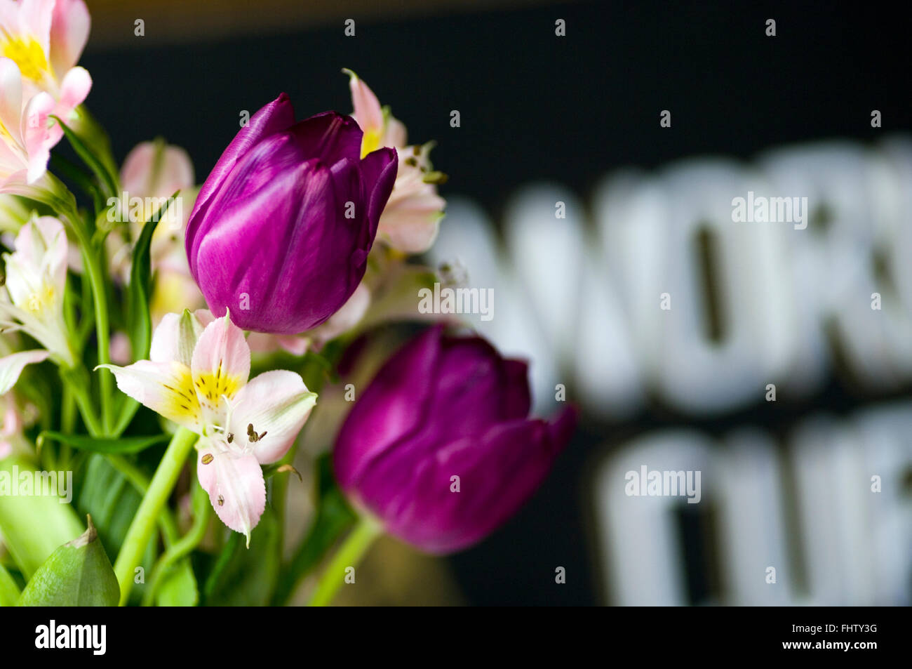 Vivid tulips and other flowers in front of a blurry sign Stock Photo