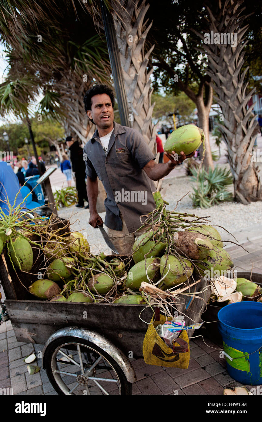 Coconut Vendor at Mallory Square, Key West Stock Photo