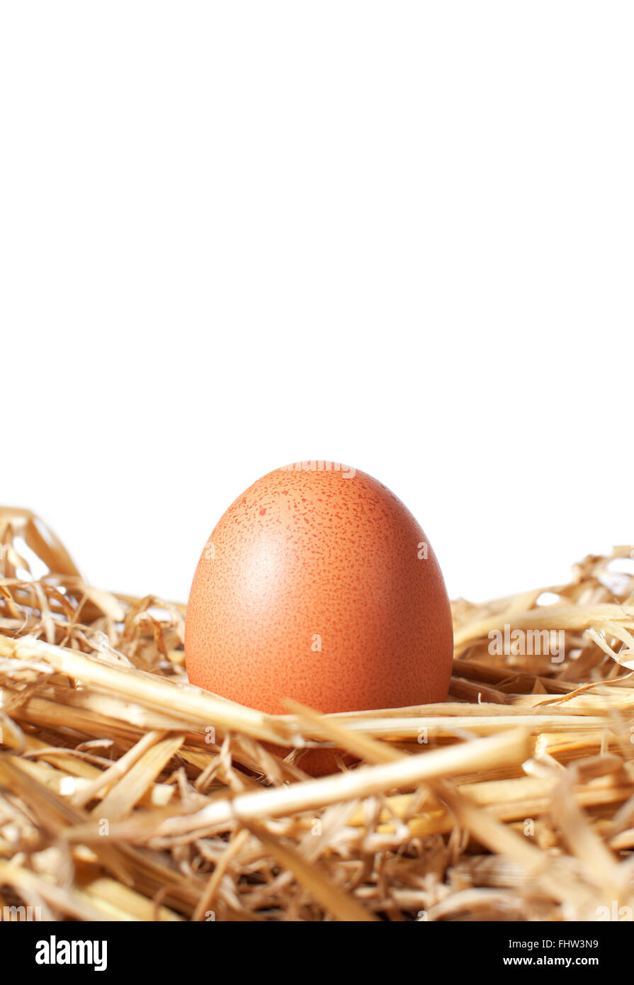 Egg in a straw nest on a white isolated background Stock Photo - Alamy
