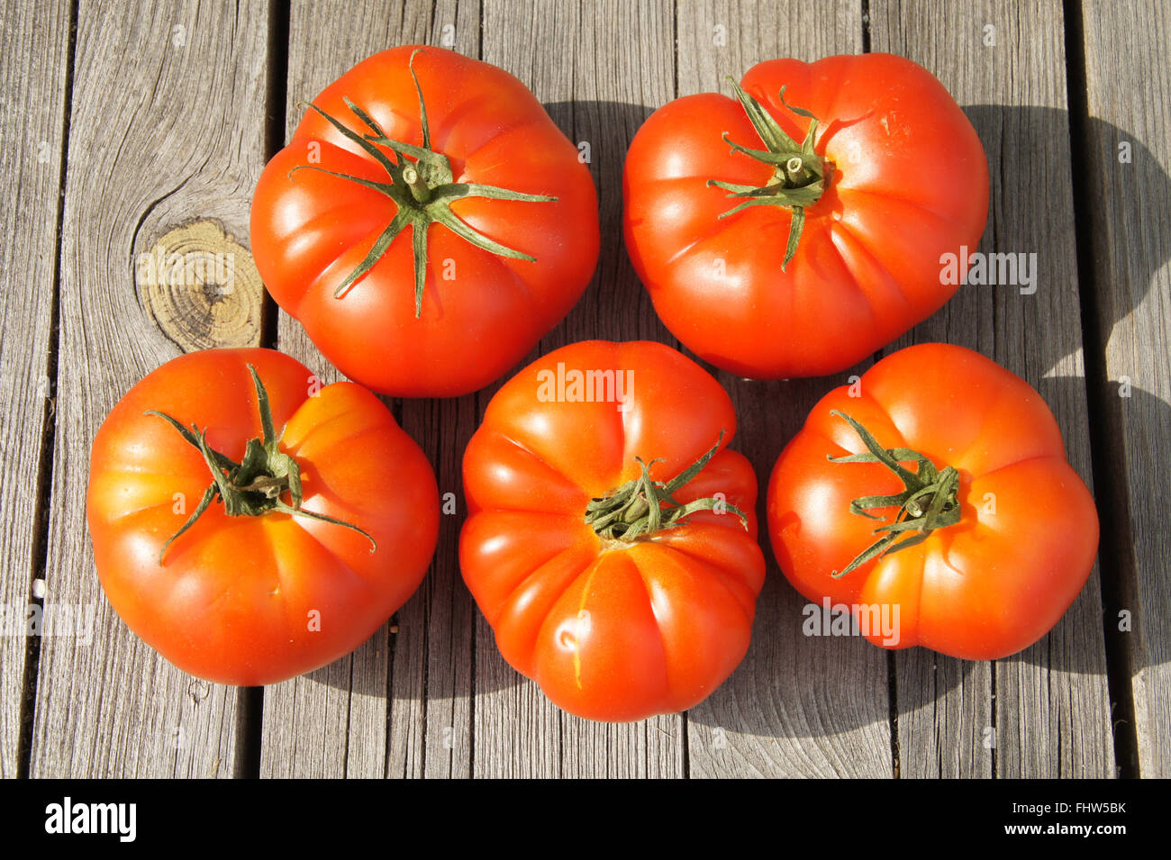Solanum esculentum, Beefsteak tomatos Stock Photo