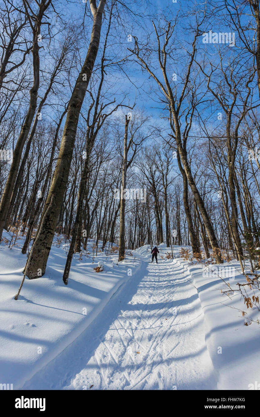 Crosscountry skier climbing a hill along the Munising Ski Trail