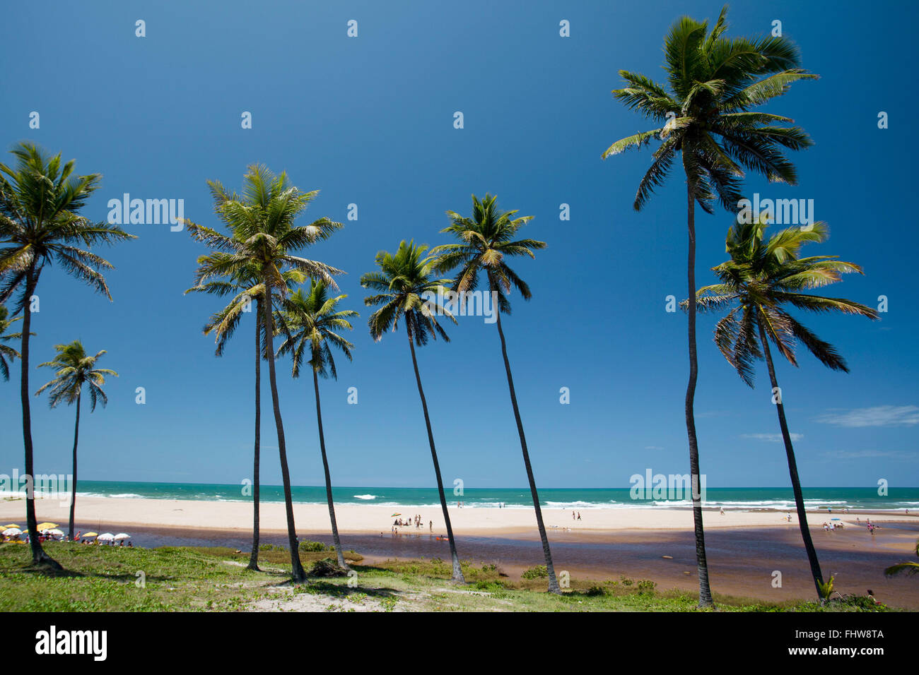 Coconut trees and the river mouth on the sands of Imbassai Beach - north coast Stock Photo