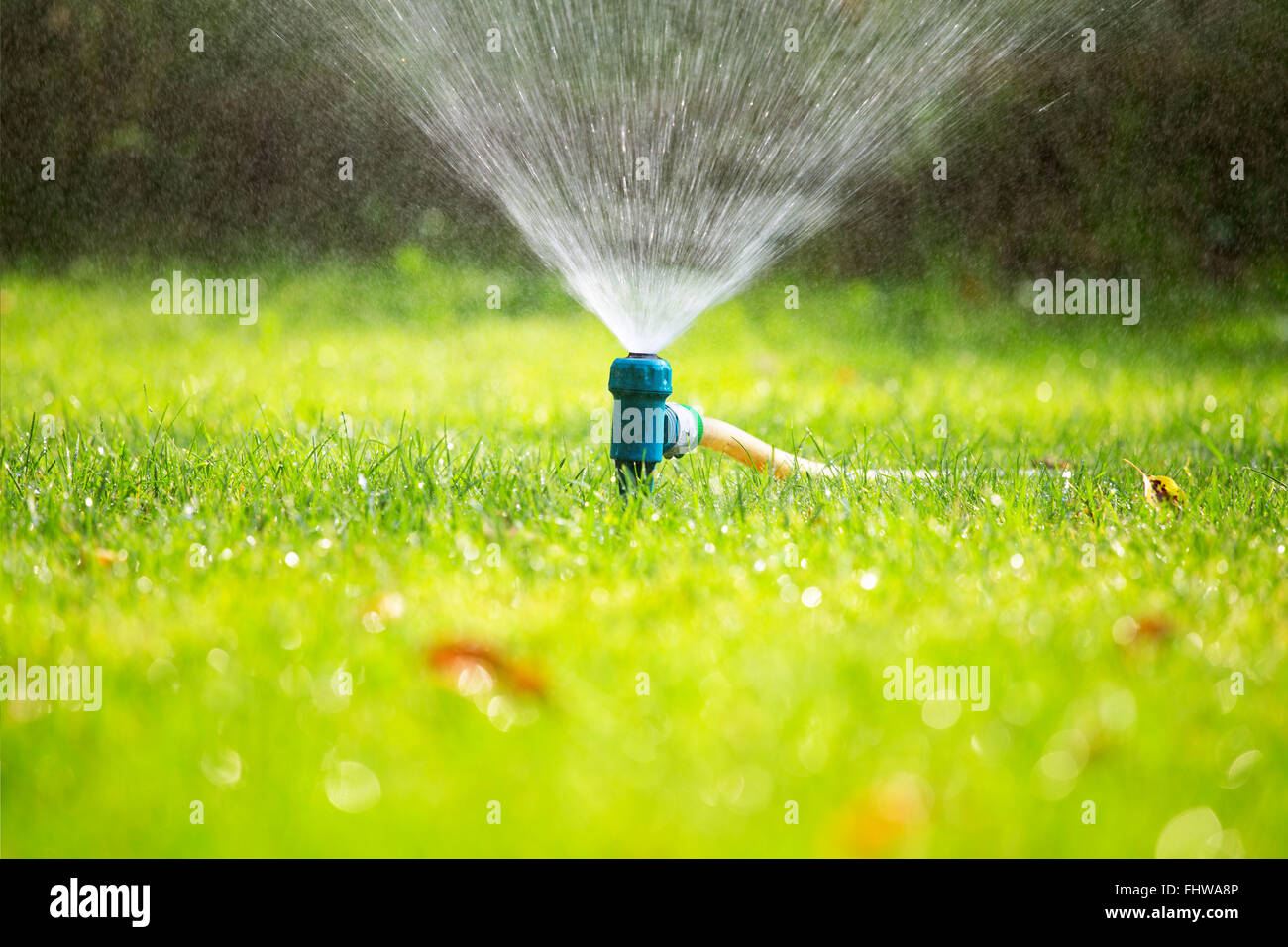 Lawn sprinkler spraying water over grass in garden on a hot summer day
