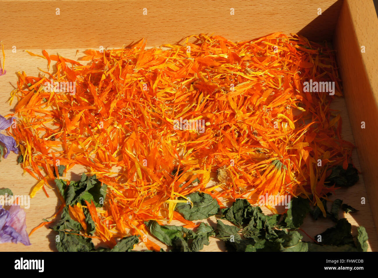 Calendula officinalis, Marigold, dry flowers Stock Photo Alamy