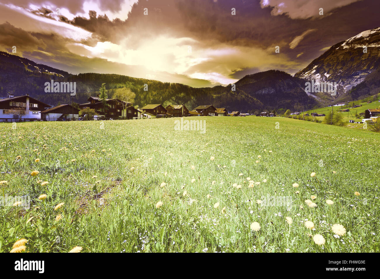 Village of flower hill hi-res stock photography and images - Alamy