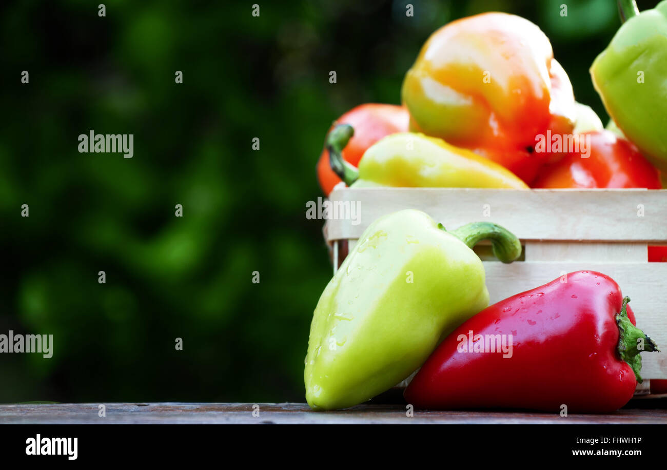 Sweet colorful bell peppers on rustic background Stock Photo - Alamy