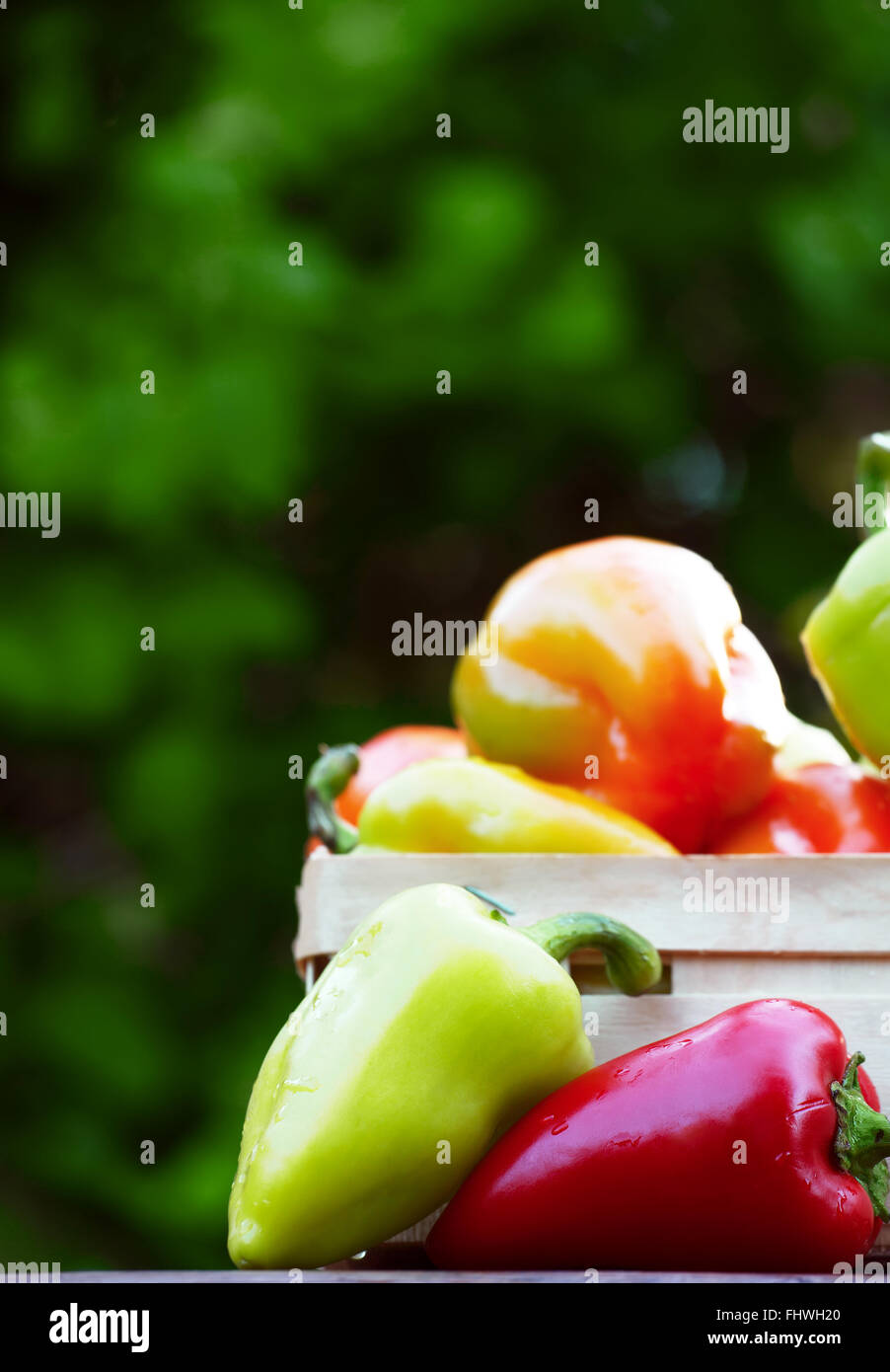 Colorful bell peppers hi-res stock photography and images - Alamy