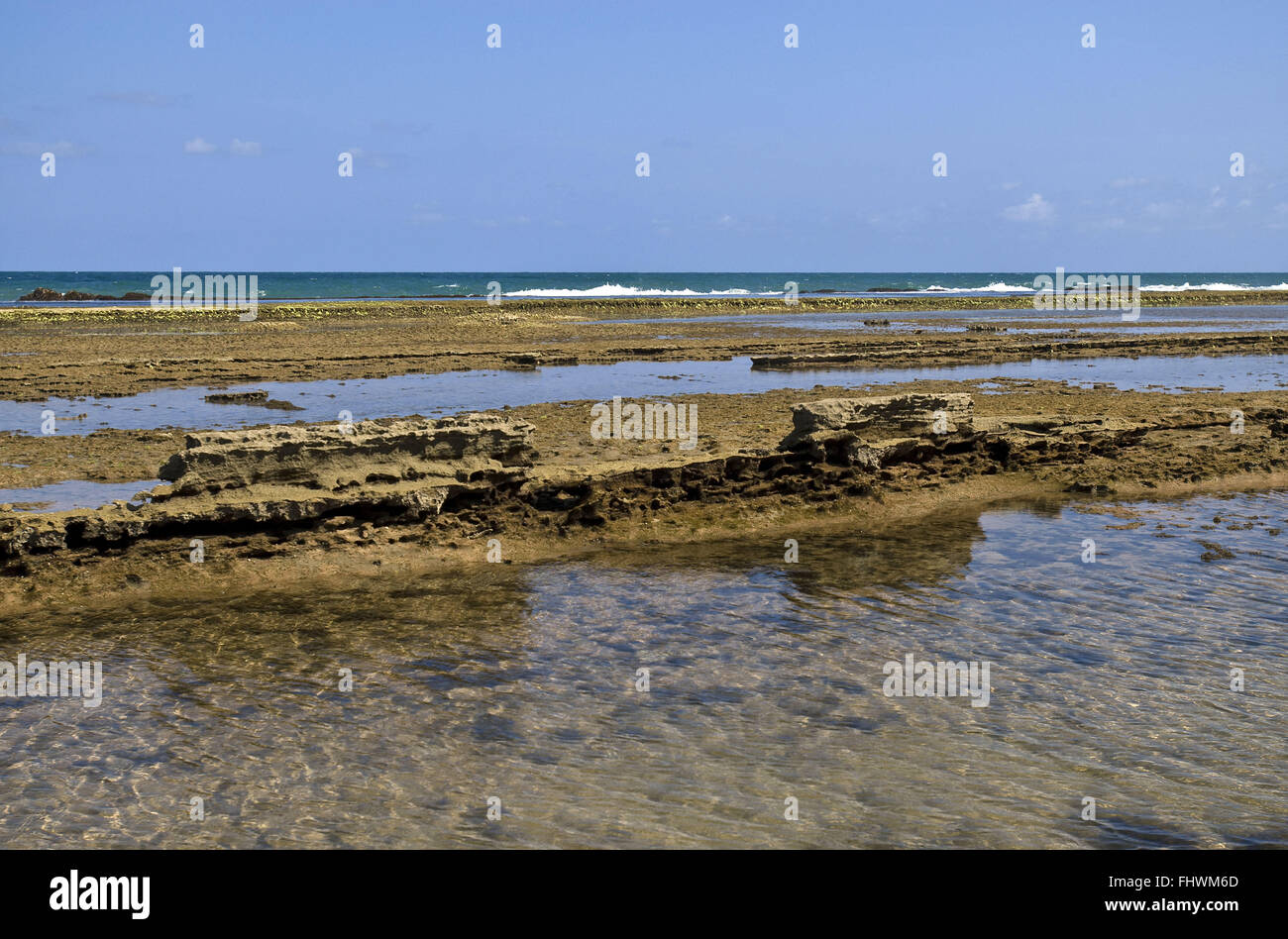 Natural pool formed by reefs in Playa del Muro Alto - Porto de Galinhas Stock Photo