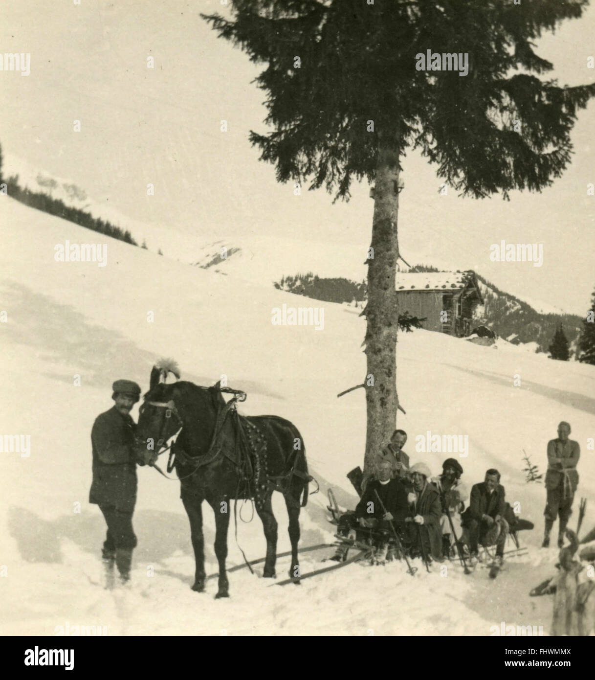 Group on a snow sled pulled by a horse, Italy Stock Photo
