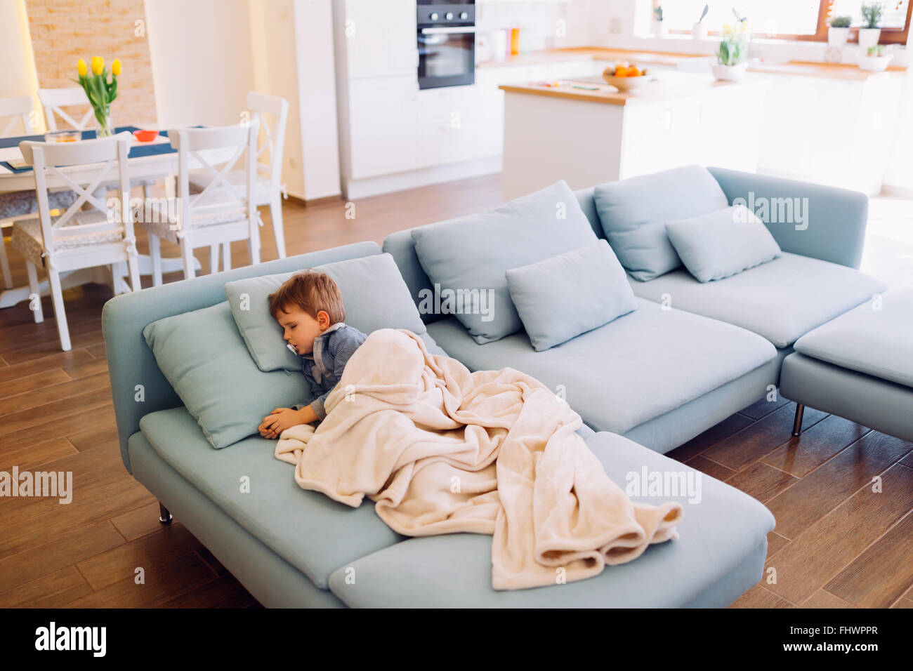 Built-in kitchen appliances  in a contemporary interior Stock Photo