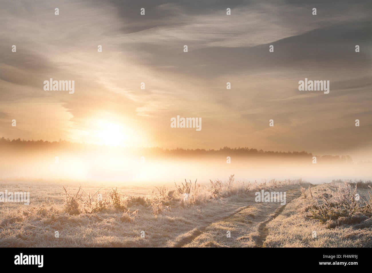 A frosty sunrise in the midth of october. It was a really cold morning and I was trying to get a shot at a deer. But got no luck Stock Photo